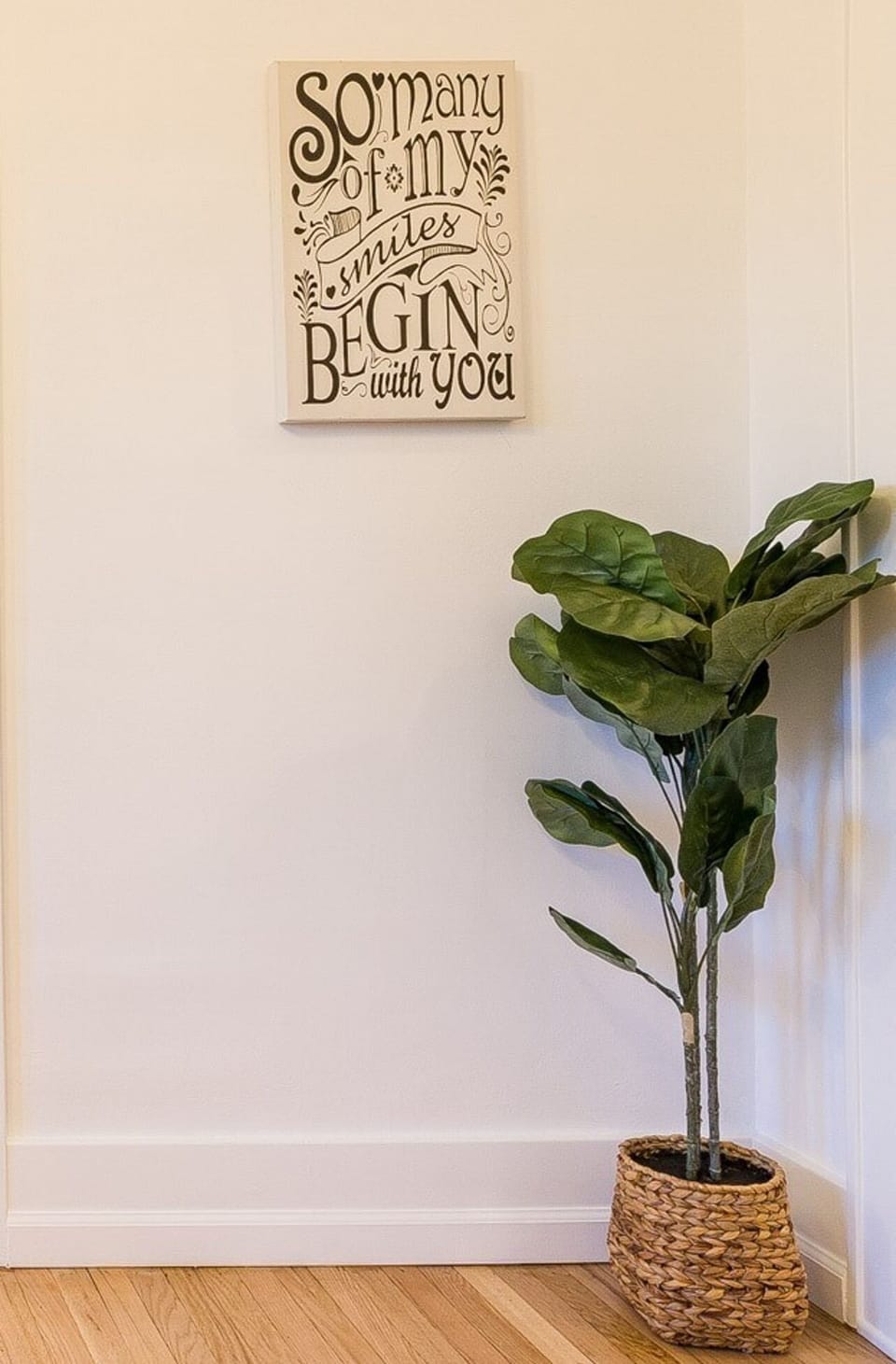 Transform your space into a lush space with our array of indoor plants, infusing your surroundings with natural beauty.