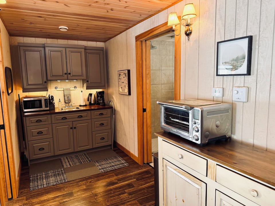 Kitchenette- microwave, toaster oven, electric fry pan, induction cooktop burner