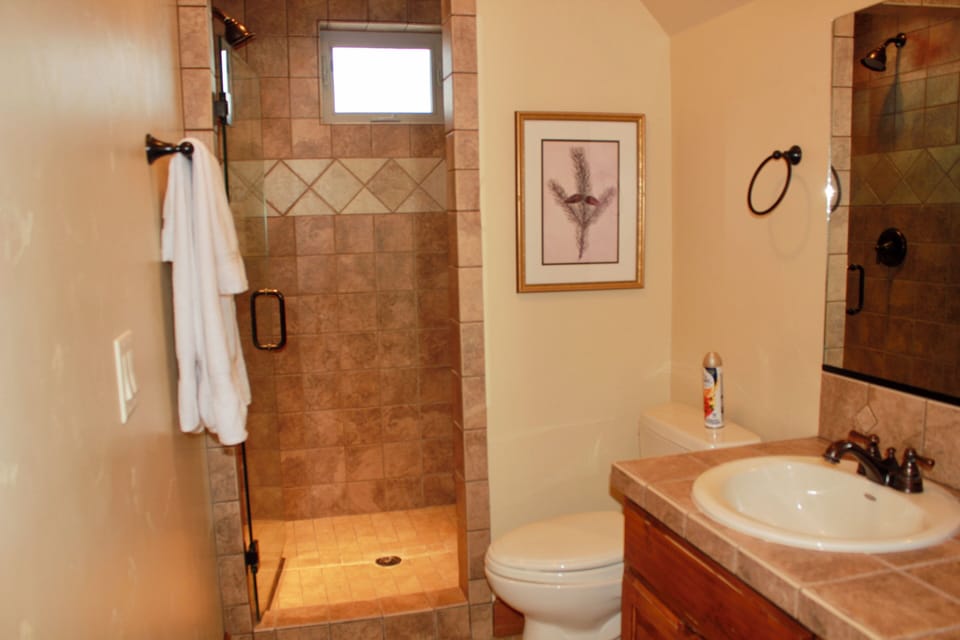 Main bathroom upstairs. walk in shower only