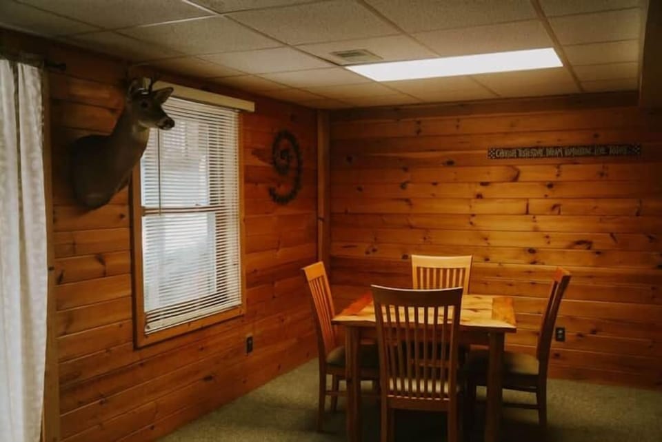 Basement Living Area