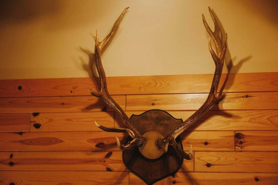 E9e37c5e 6e6e 4cb3 8e3e 87747472e4b1