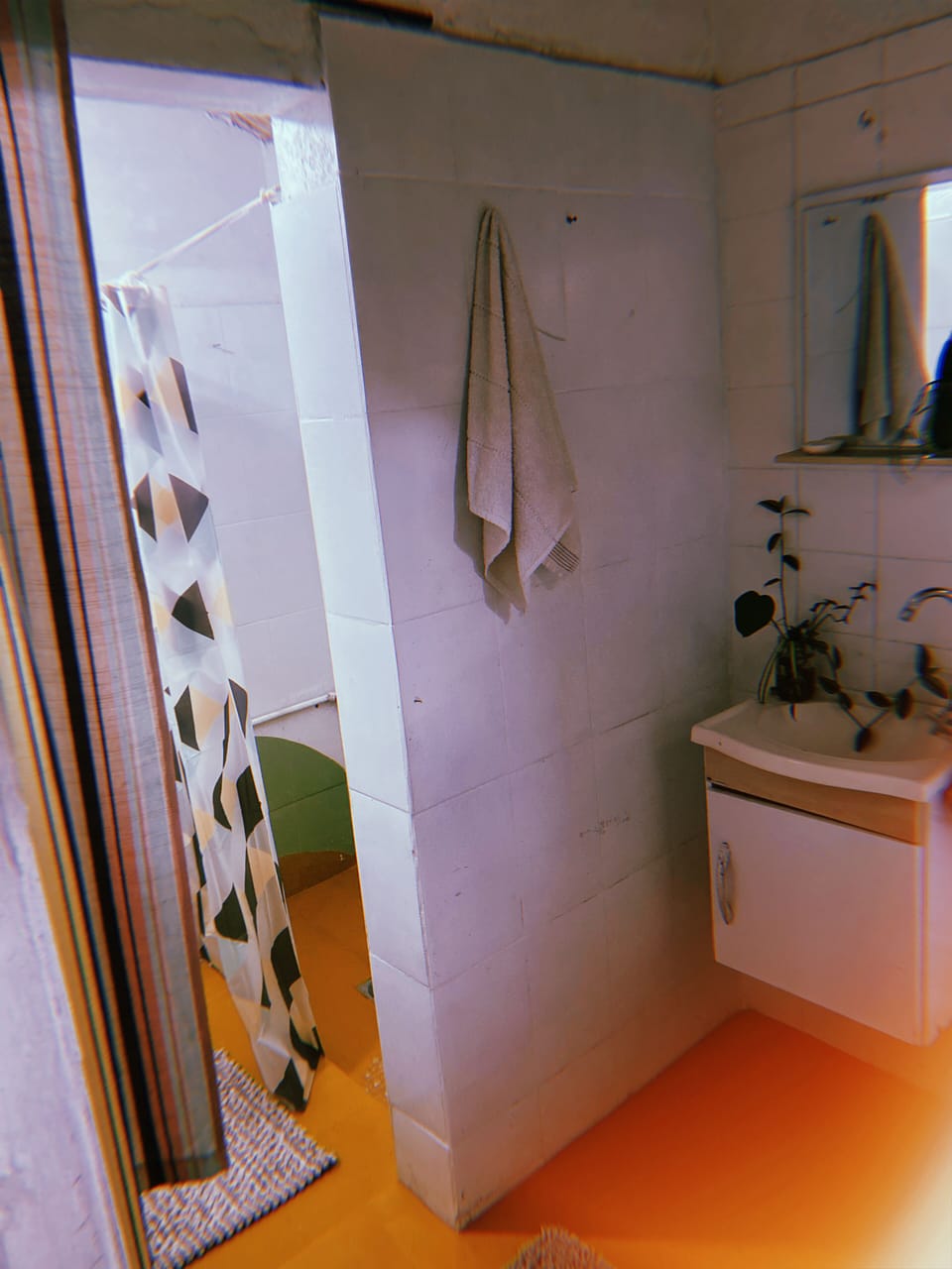 Standard House | Bathroom