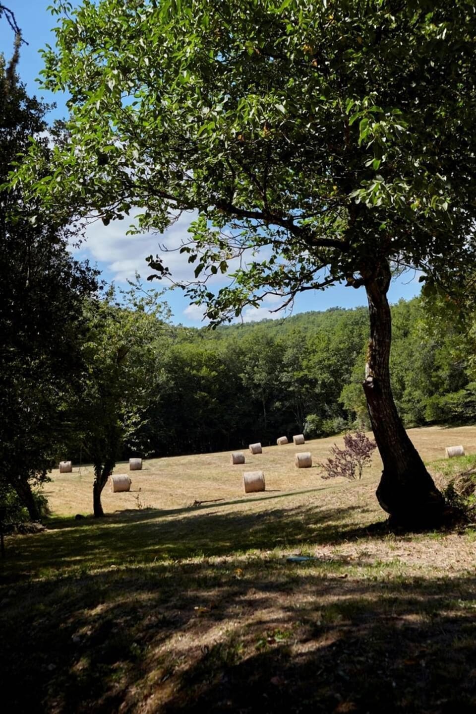 gite-la-maison-bleue-cantegrel-vitrac-champ-2