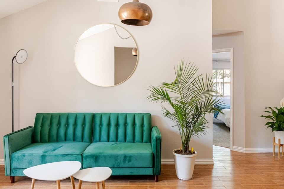 Gorgeous double living room featuring designer furniture, indoor plants, light.