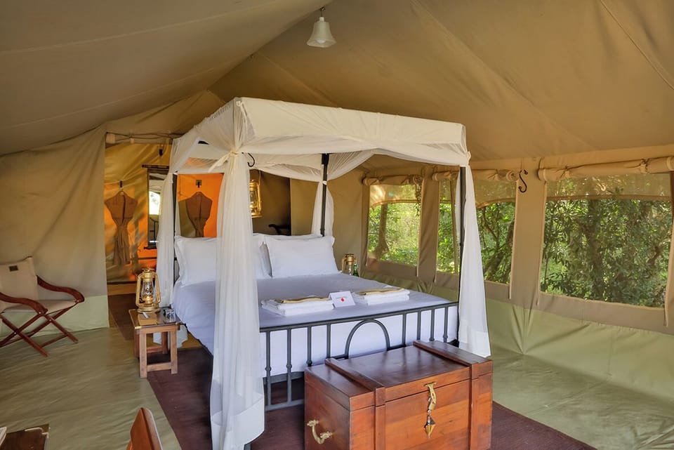 Comfort Tent, Patio, Park View | 1 bedroom, free WiFi, bed sheets