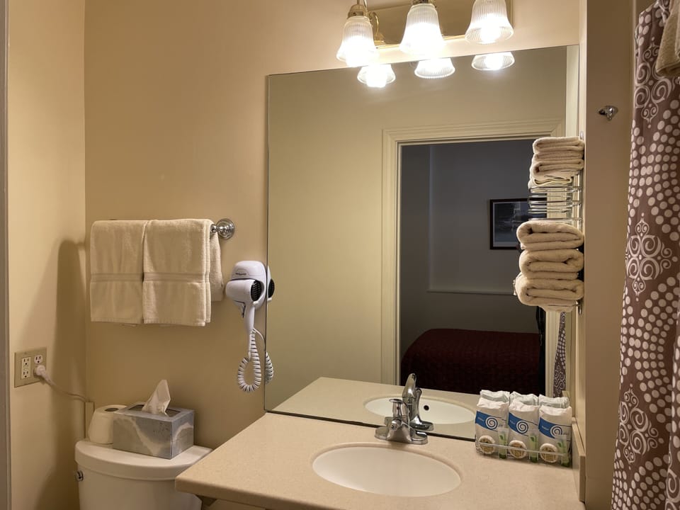 Premium Triple Room, Ensuite | Bathroom | Free toiletries, hair dryer, towels, soap