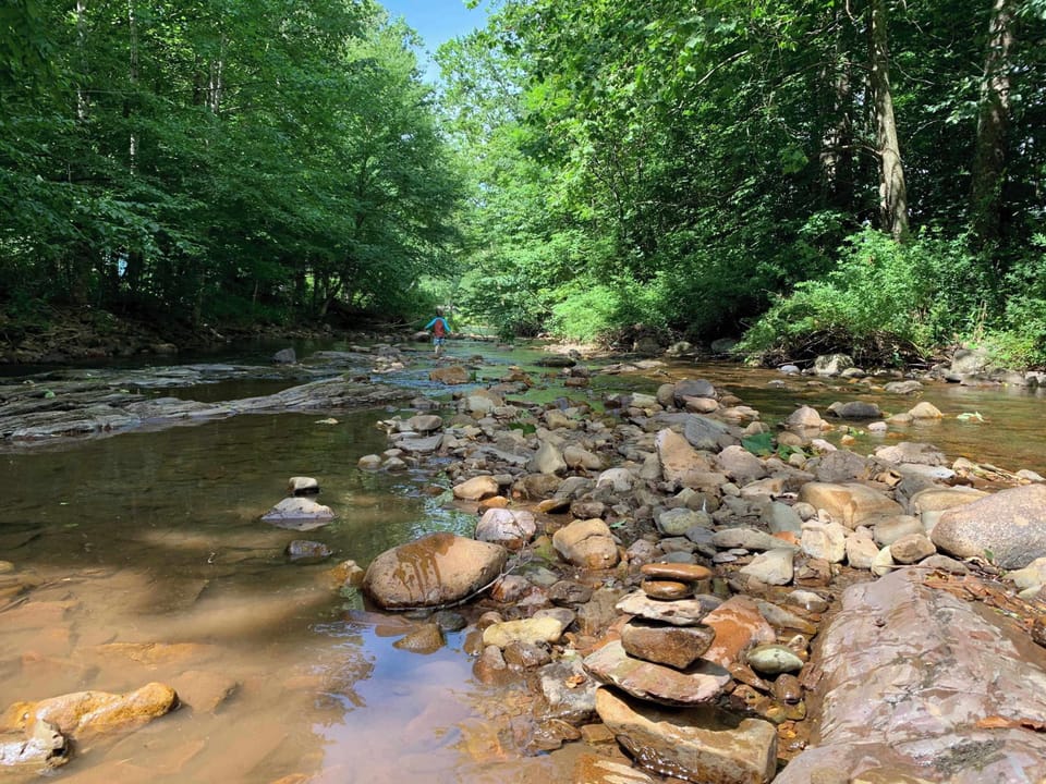 Relaxing view looking upstream