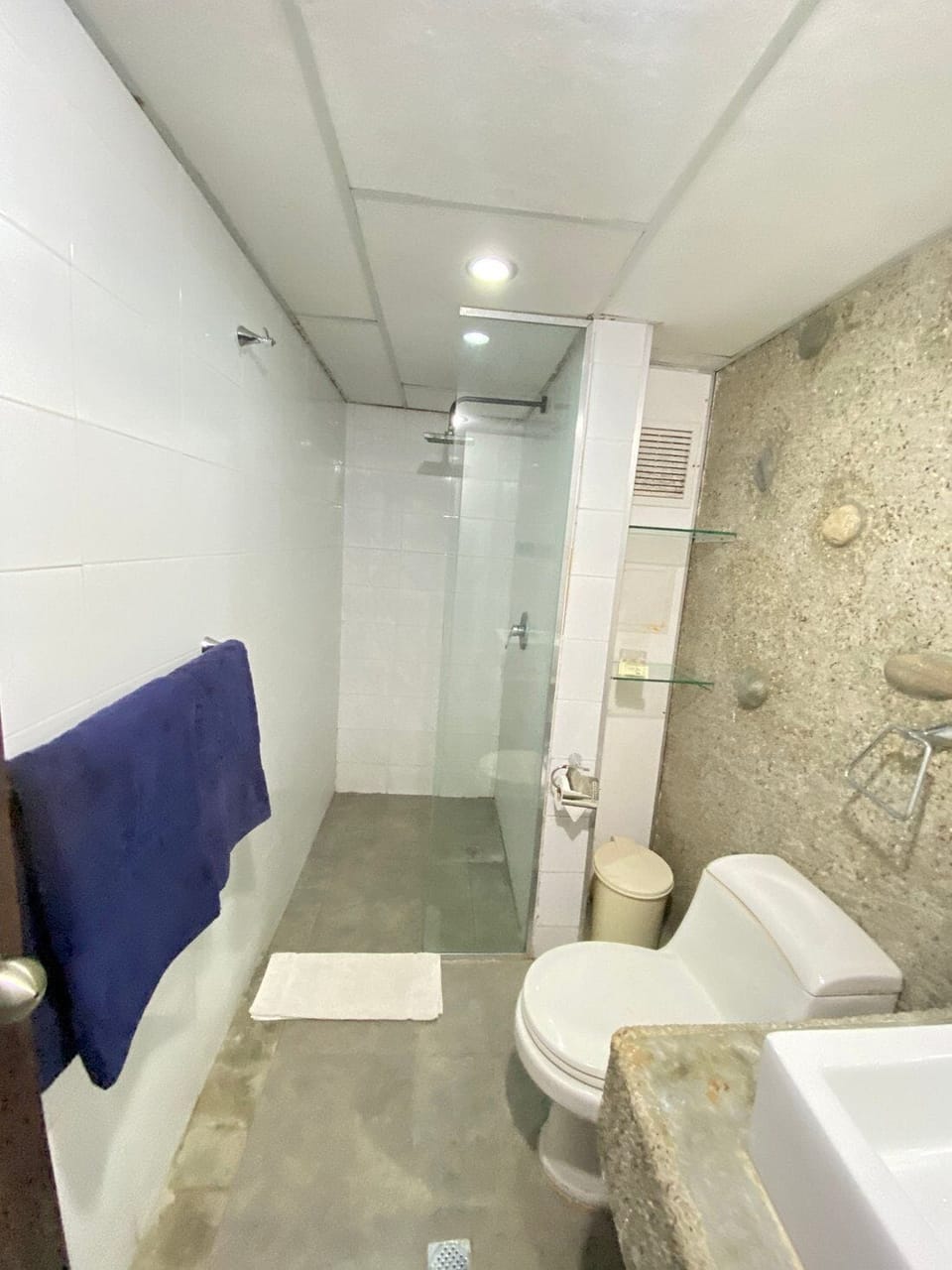 Junior Twin Room, Bay View | Bathroom | Shower, soap, shampoo, toilet paper