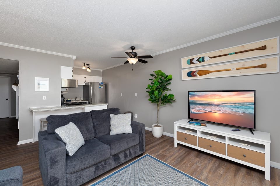 Panoramic Smart TV in the living room