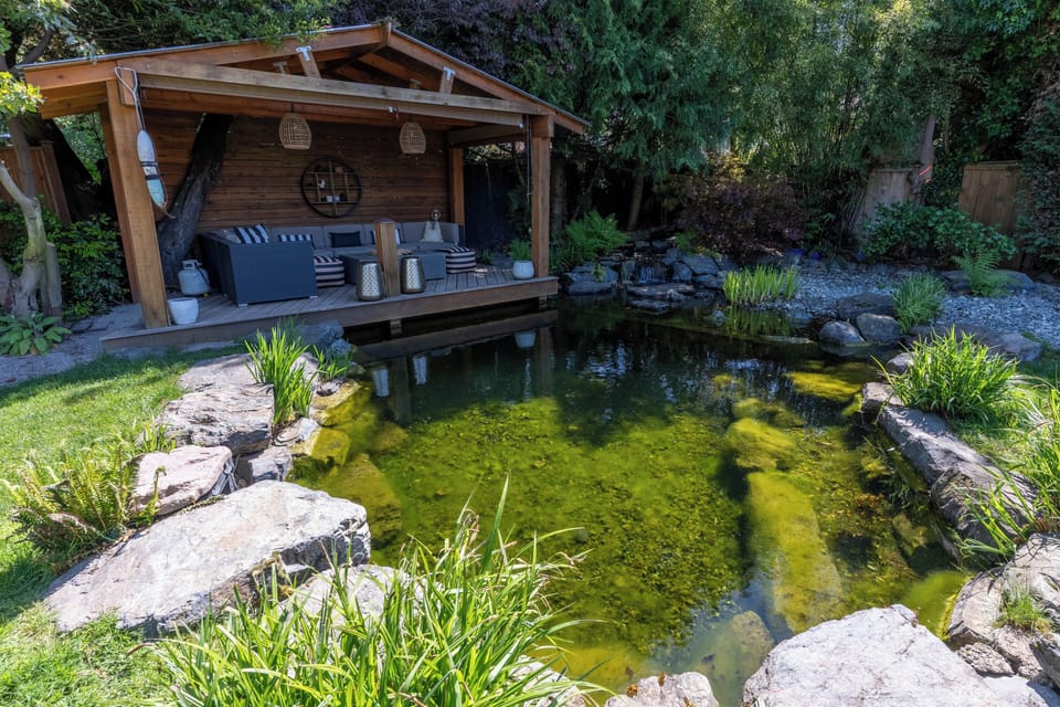 Natural swim pond cleaned by plants, not chemicals.