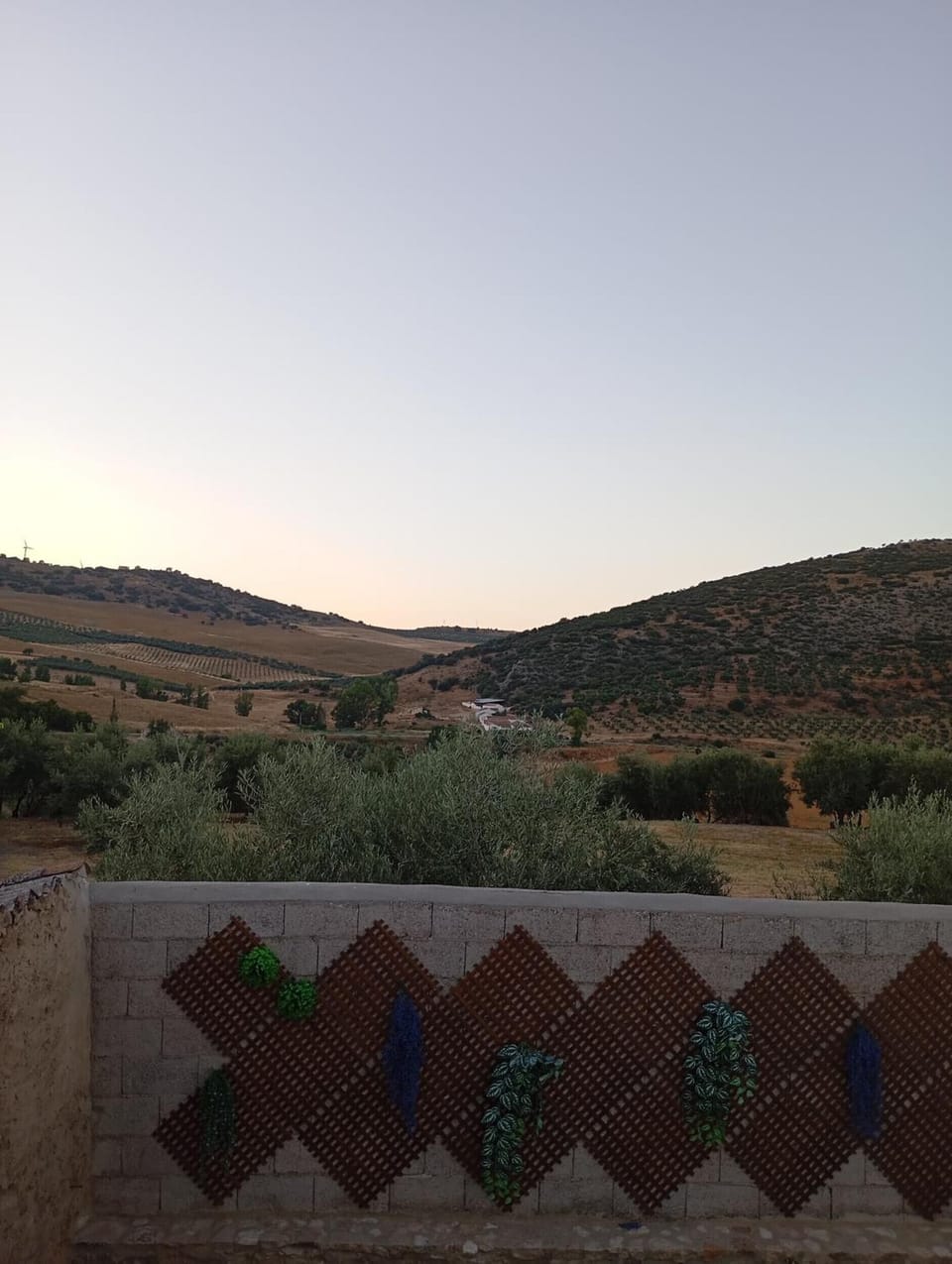View from property