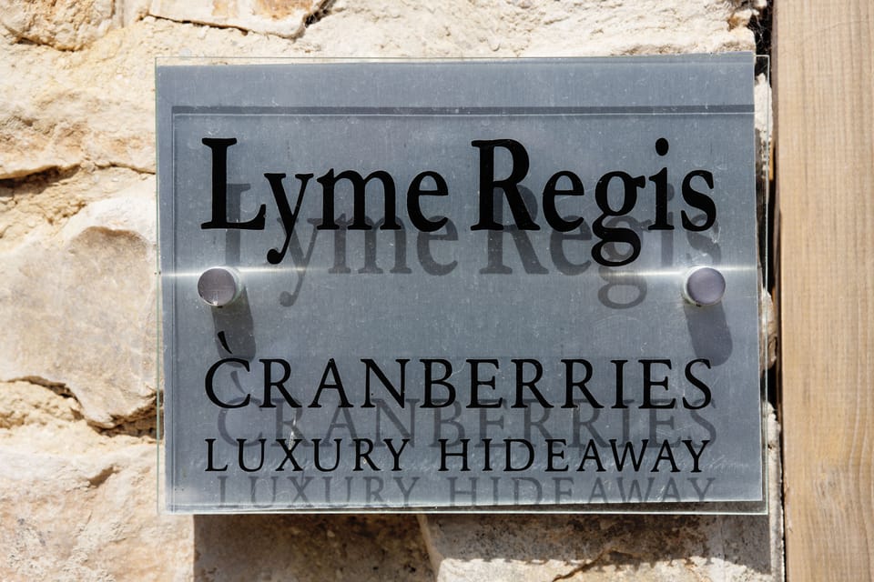 Executive Twin Room | Iron/ironing board, free cribs/infant beds, rollaway beds, free WiFi