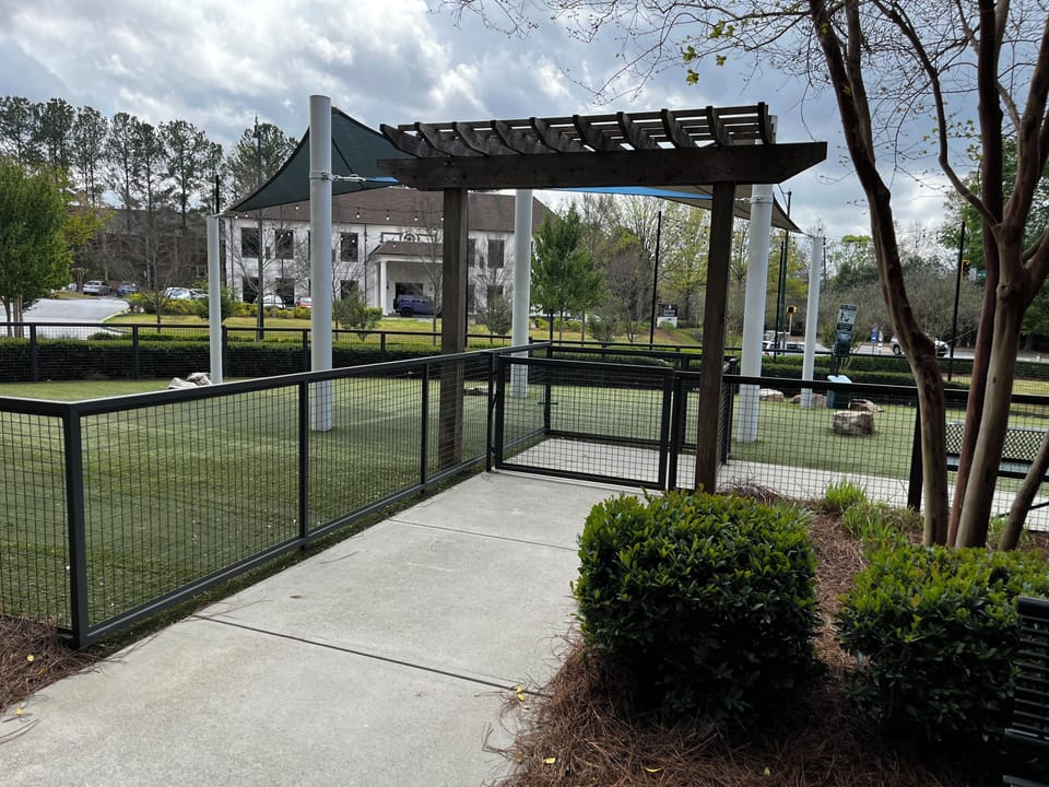 Dog Park 
