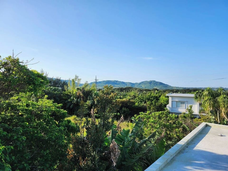 The surrounding area is lush with greenery.