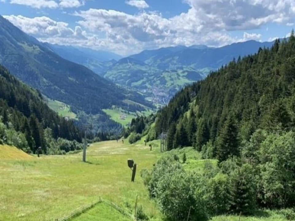 Surroundings [summer] (1-5 km)