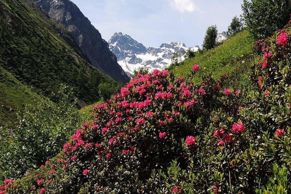 Region [summer] (>5 km)