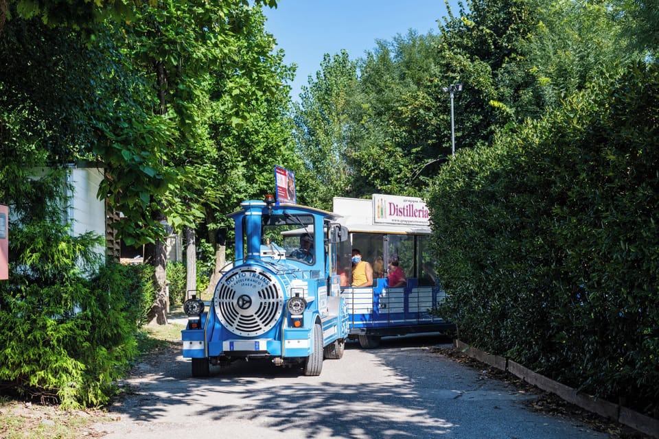 Children's activities