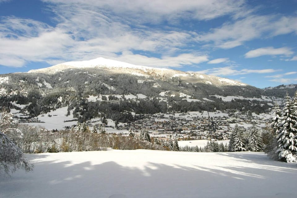 Immediate Surroundings [winter] (<1 km)