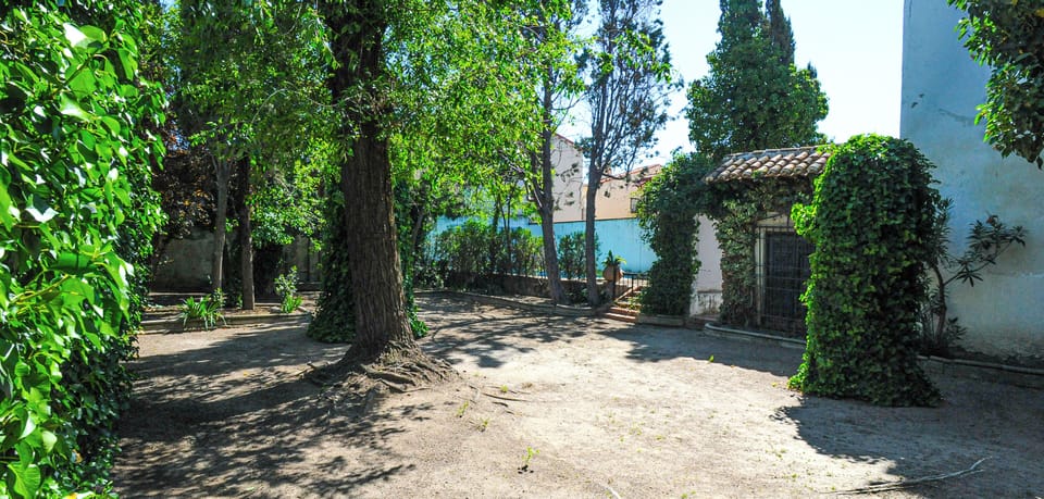Garden (2)