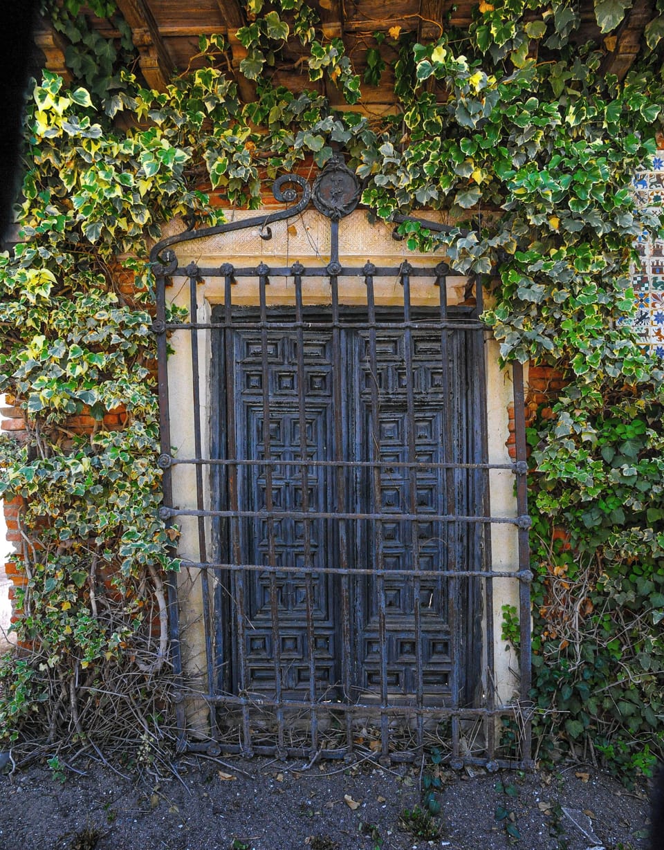 Garden (1)