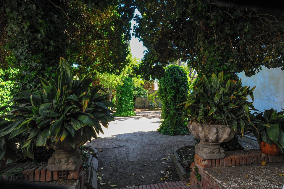 Garden (3)