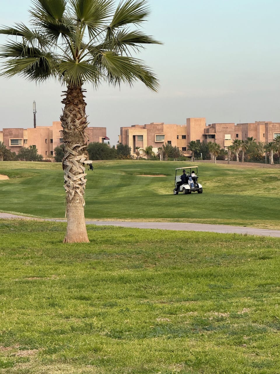 Golf