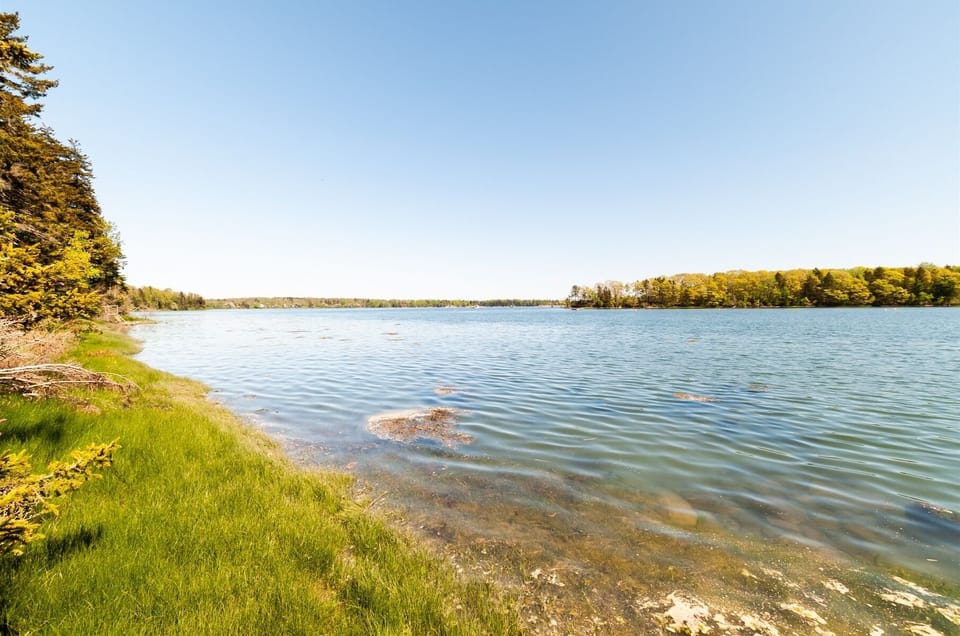 Water view