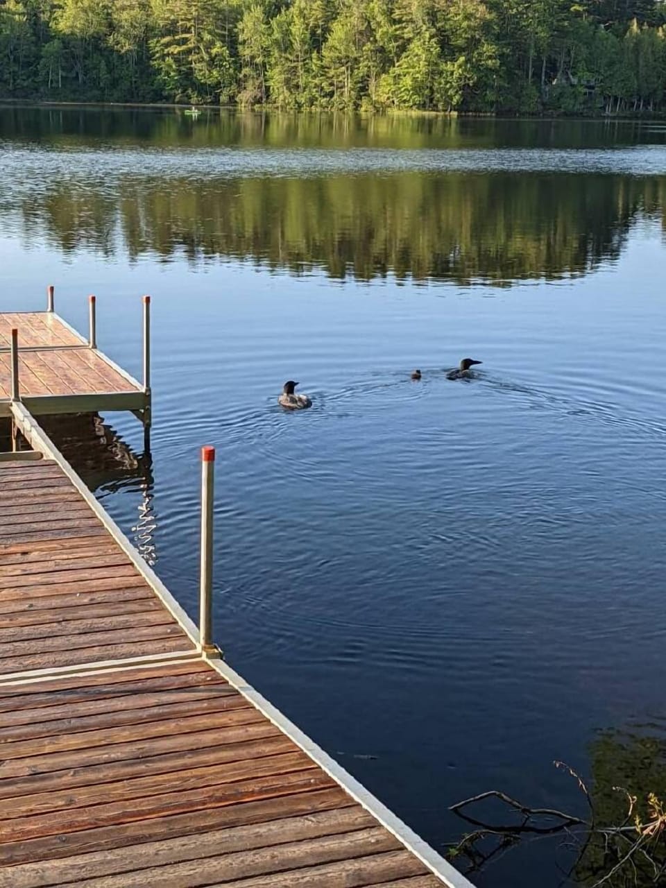 Lake from dock
