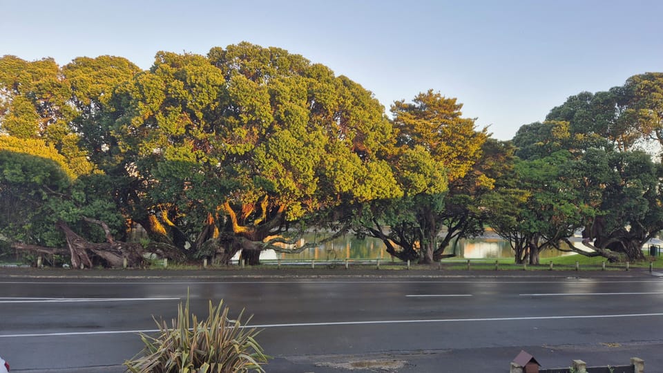 Turanganui River - NZs shortest river