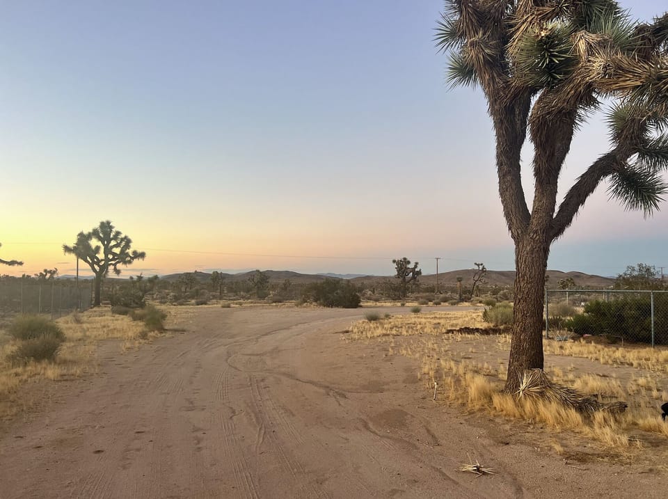 Outdoor Sunset Views