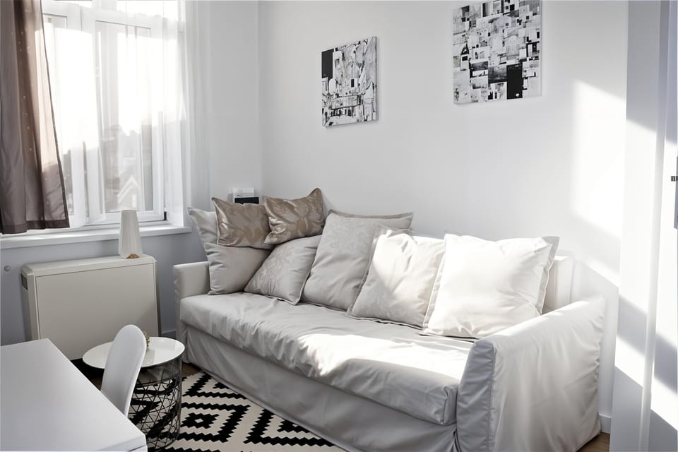Comfort Studio, 1 Double Bed, Kitchenette, City View | Living area