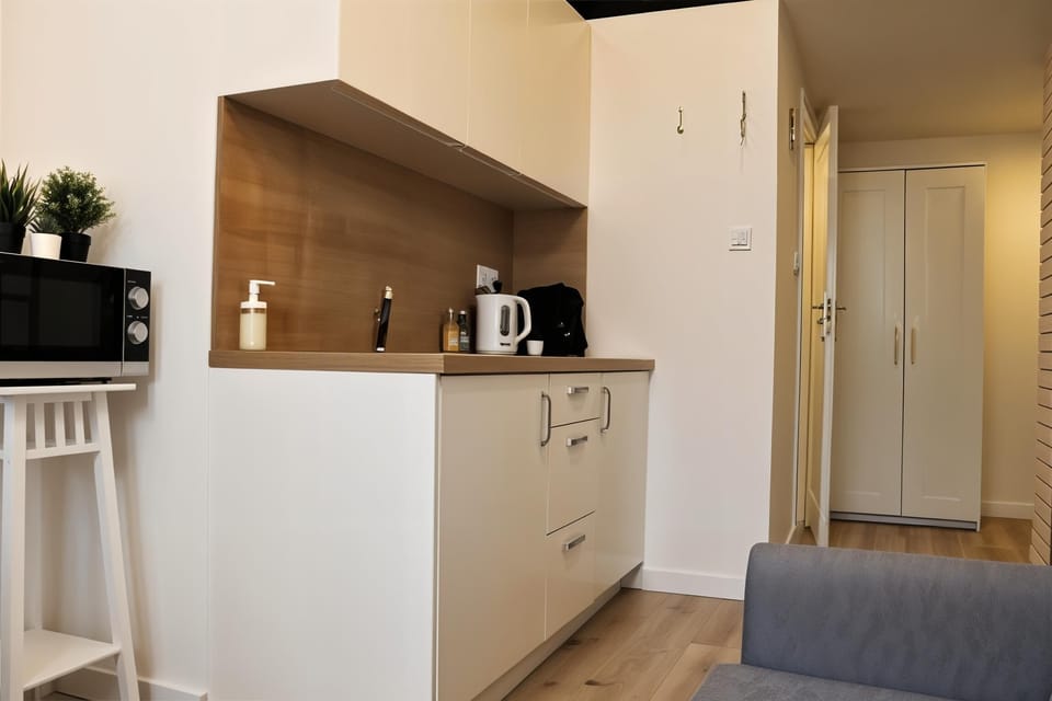 Comfort Studio, Multiple Beds, Kitchenette, City View | Private kitchen