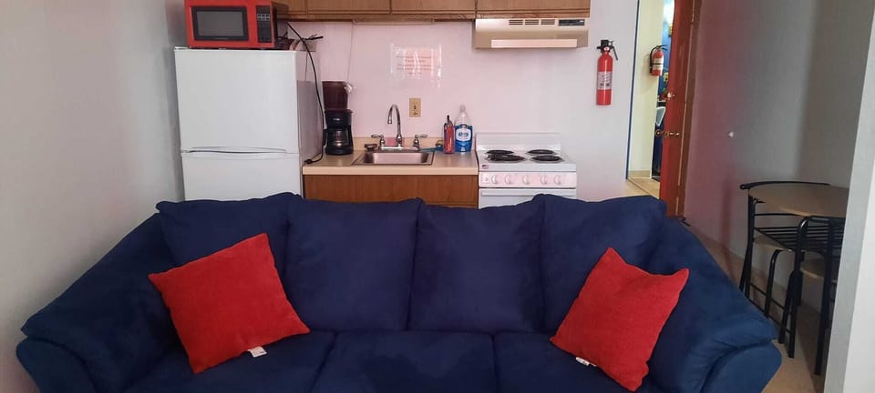 Family Apartment, 1 Bedroom | Private kitchenette | Mini-fridge, microwave, coffee/tea maker