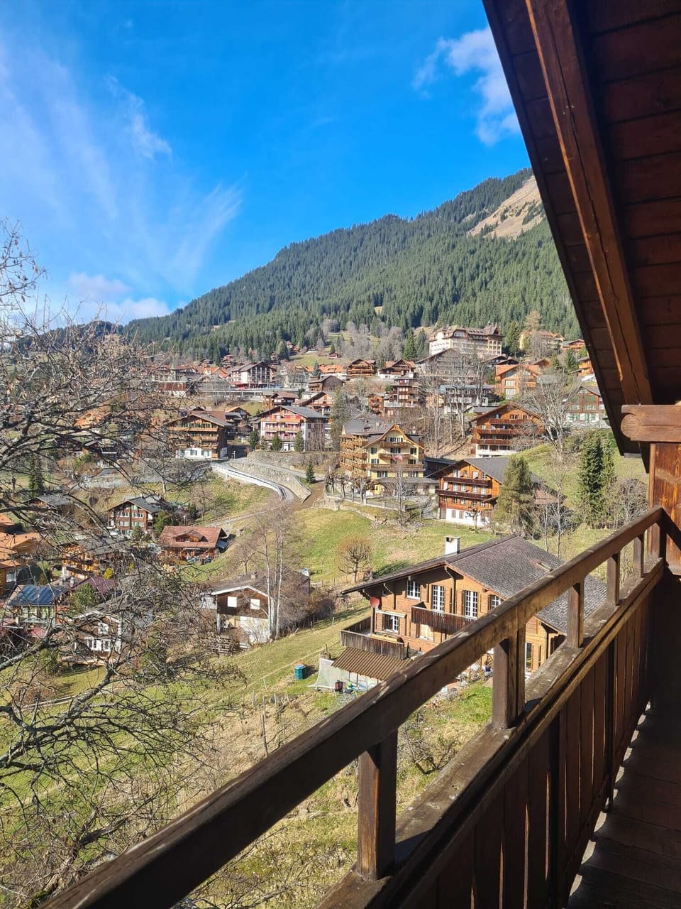 View from the balcony towards Wengen in the summer
