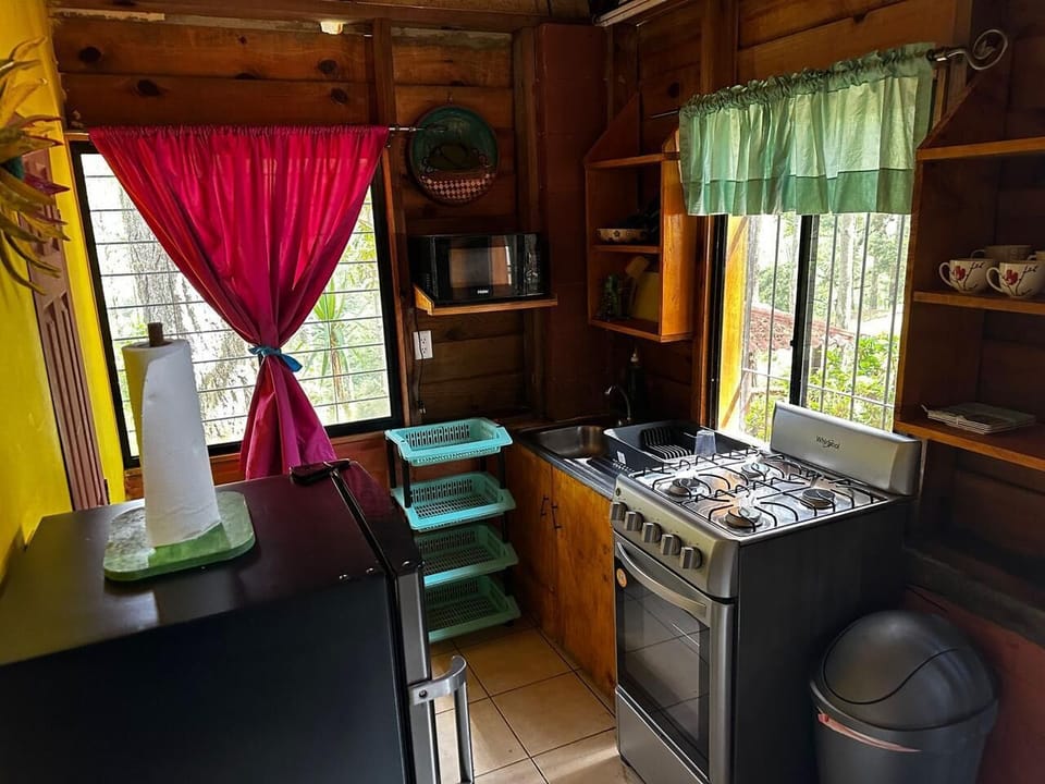 Family Apartment, Patio, Mountain View | Private kitchen