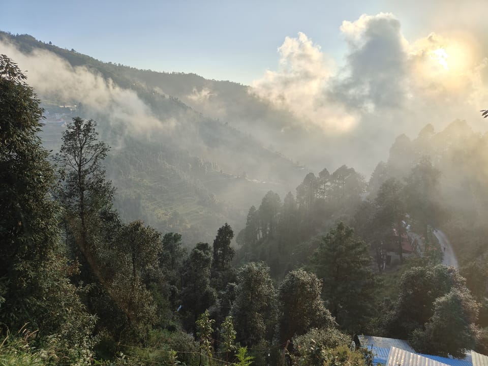 View from property