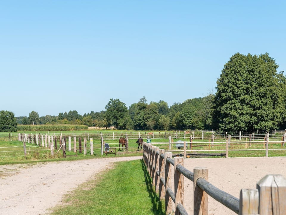 Surroundings [summer] (1-5 km)