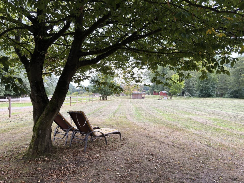 View from Holiday Home [summer]