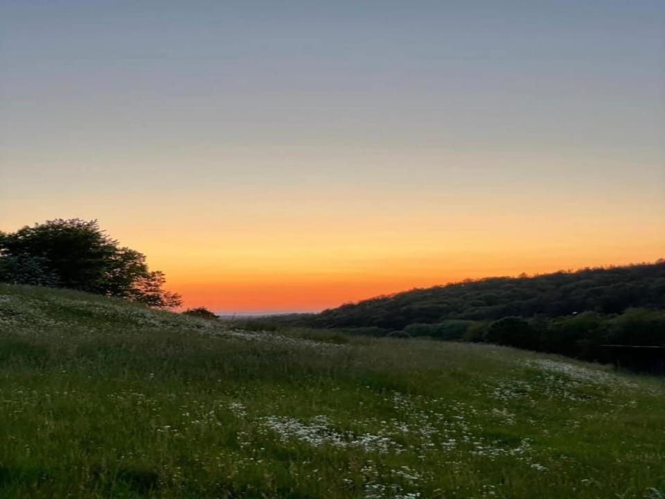 Region [summer] (>5 km)