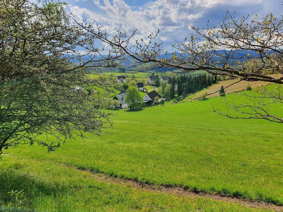 Region [summer] (>5 km)