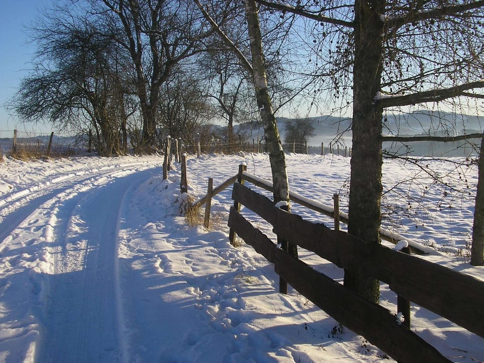 View from Holiday Home [winter]