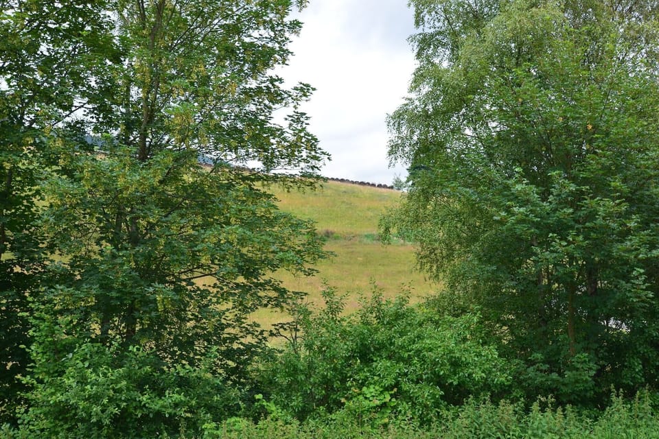 View from Holiday Home [summer]