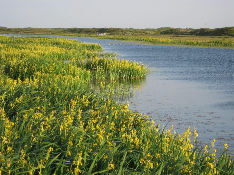 Surroundings [summer] (1-5 km)