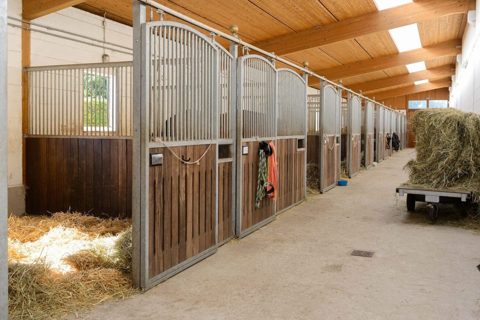 Holiday Home Facilities and Services