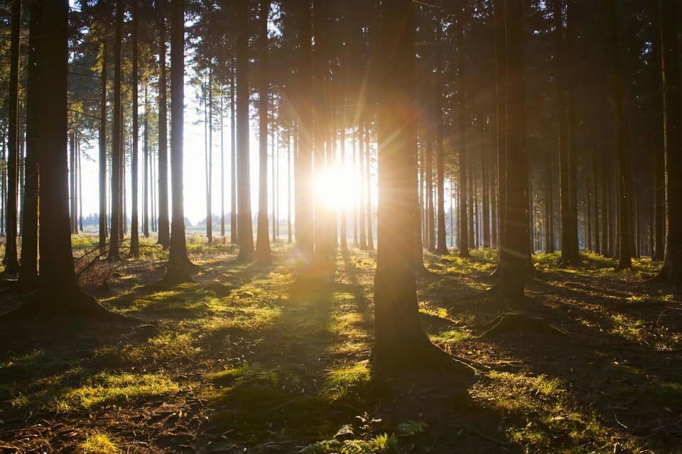 Surroundings [summer] (1-5 km)