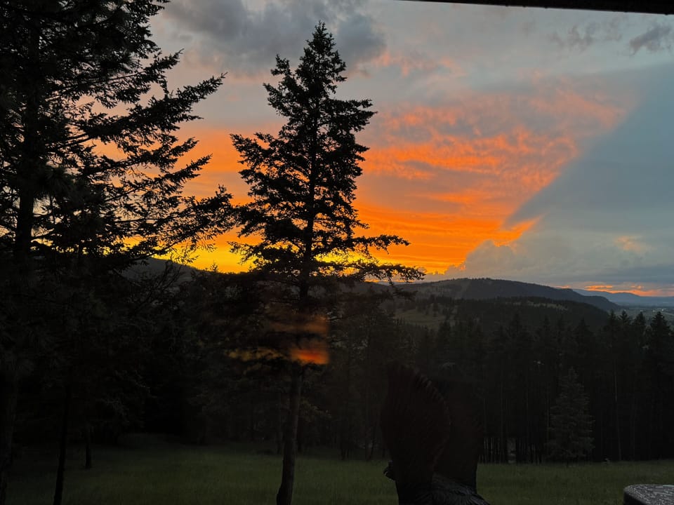 View from property