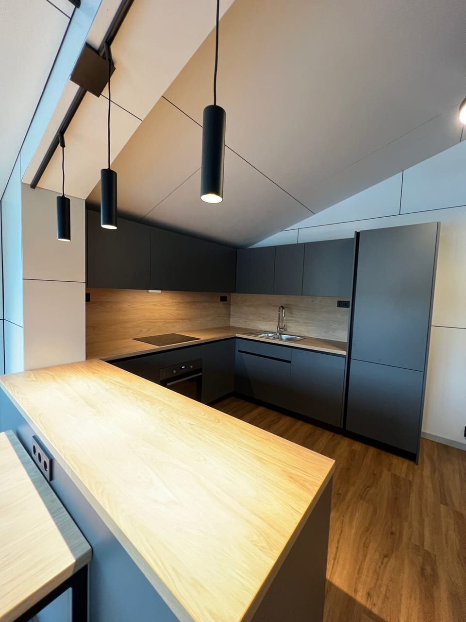 Deluxe Cabin | Private kitchen | Fridge, oven, stovetop, dishwasher
