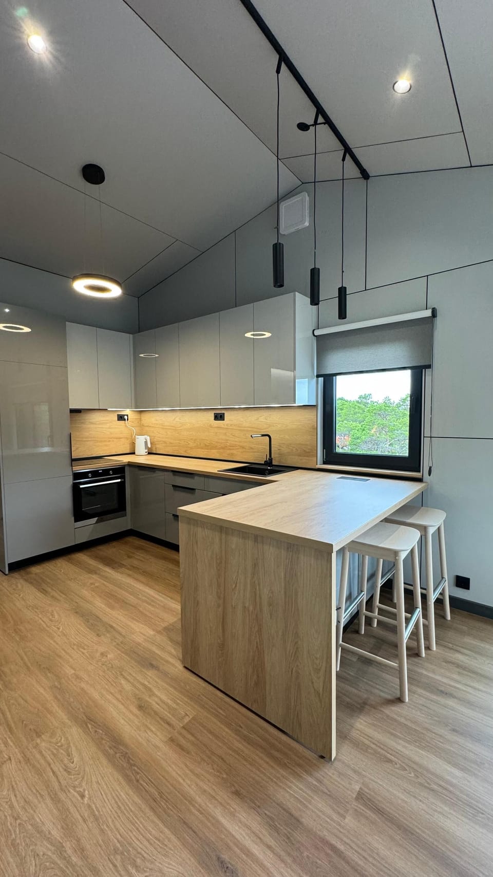 Deluxe Cabin | Private kitchen | Fridge, oven, stovetop, dishwasher