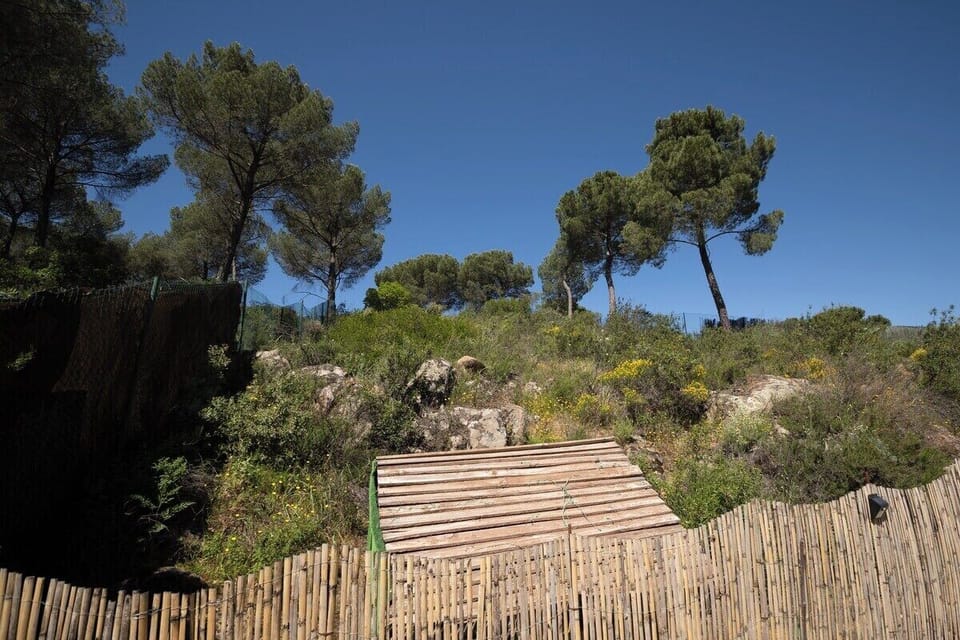 Garden image 1