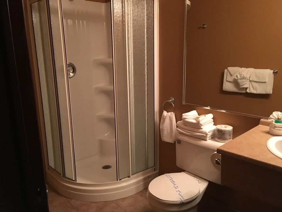 Deluxe Room, 2 Queen Beds, Jetted Tub | Bathroom shower